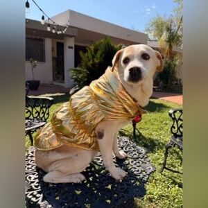 Gold Puffer coat  Dog Jacket- Boots & Barkley